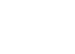 BlueZone logo